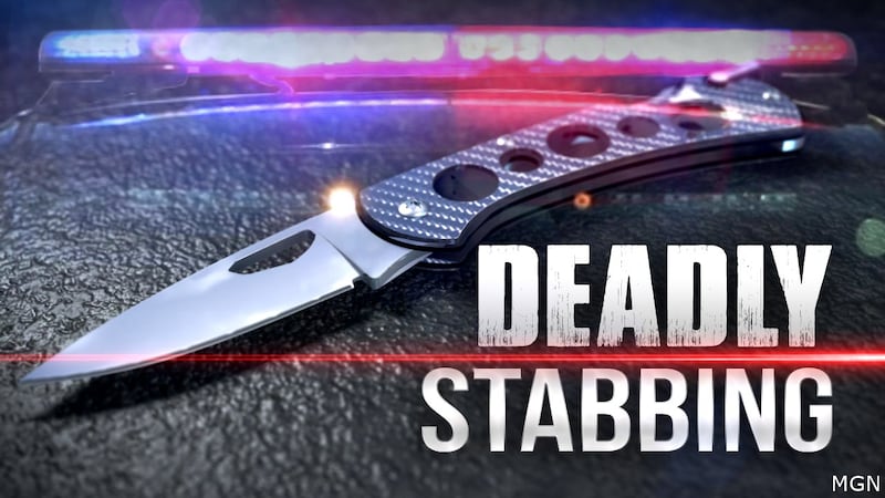 Deadly Stabbing investigation.