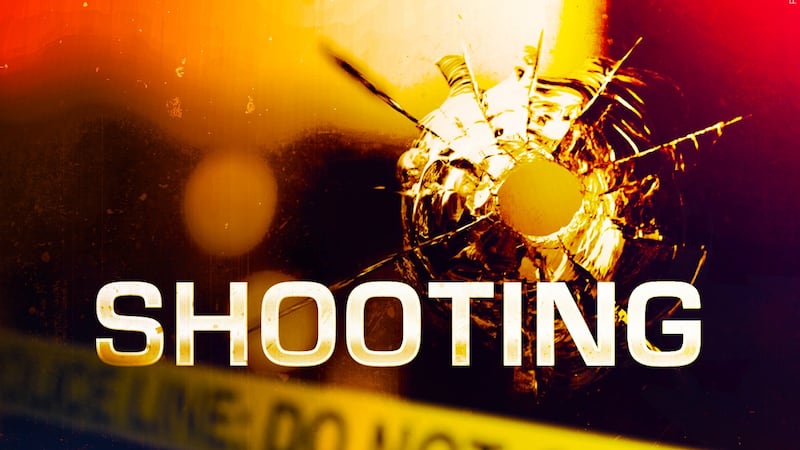 Normal Police are investigating an early morning shooting that left one person injured.