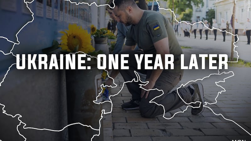 Ukraine: one year later