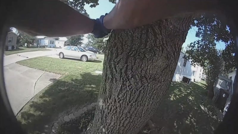 Normal Police body cam video